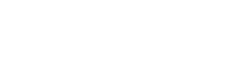 Pioneer