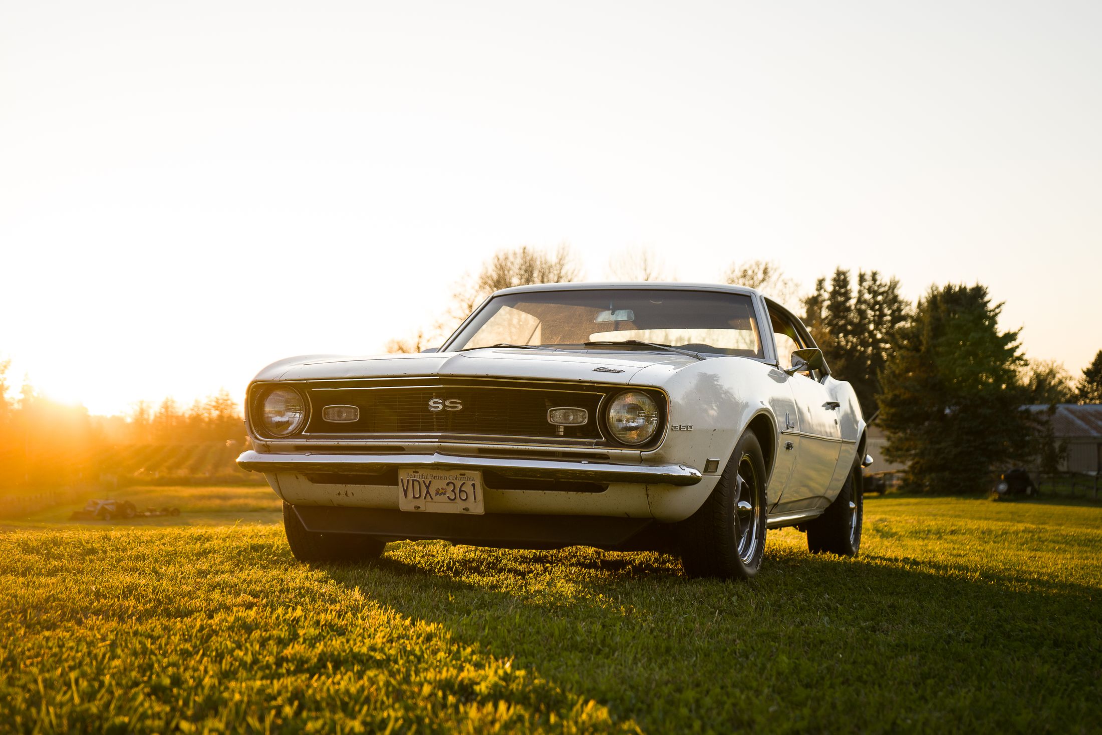 A white 1968 Camaro SS on British Columbia plates at golden hour